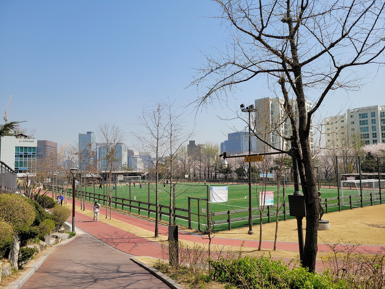 仅展示了东